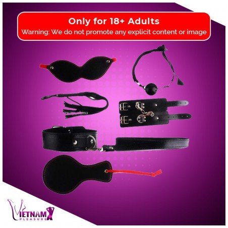 Passion Flirting BDSM KIT V2 BDSM-008