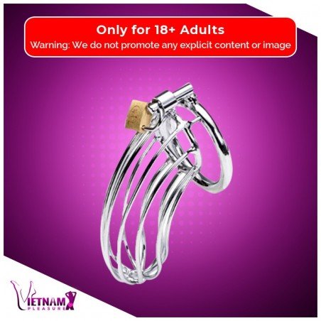 Stainless Steel Iron Wire Male Chastity Lock BDSM-016