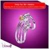 Stainless Steel Iron Wire Male Chastity Lock BDSM-016