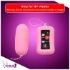 Remote Control Vibrating Egg BV-003