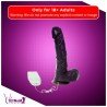 Mr. Realistic Vibrator V1 RSV-026